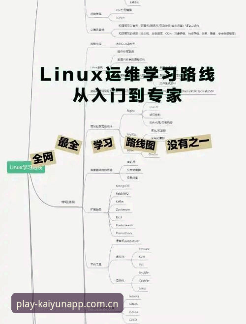 深度揭秘kaiyun安卓版：从入门到精通的完整使用指南